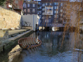 IMG_20250205_140304